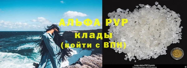 прущие грибы Михайловка