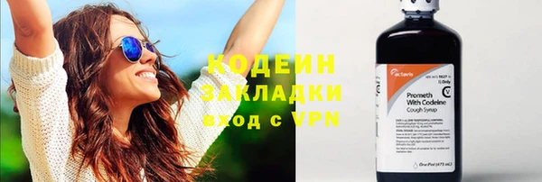 прущие грибы Михайловка