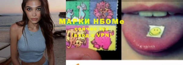 прущие грибы Михайловка