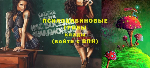 ешки Медвежьегорск