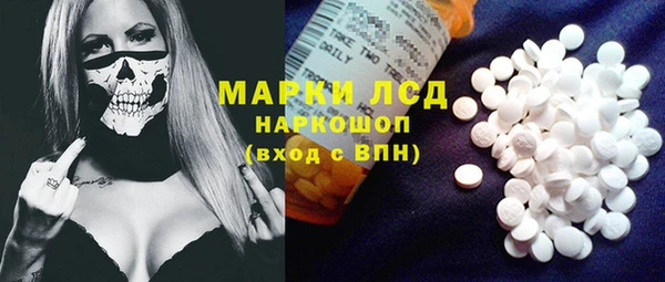 прущие грибы Михайловка