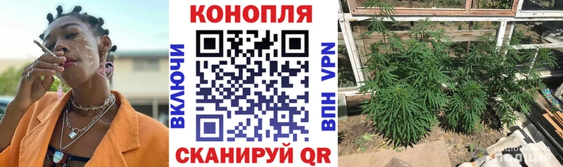 Бошки Шишки MAZAR  mega сайт  Полярные Зори  купить наркотики сайты 